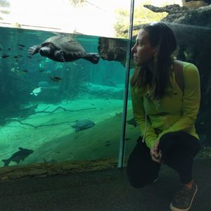 Meet your Posher, Katharine